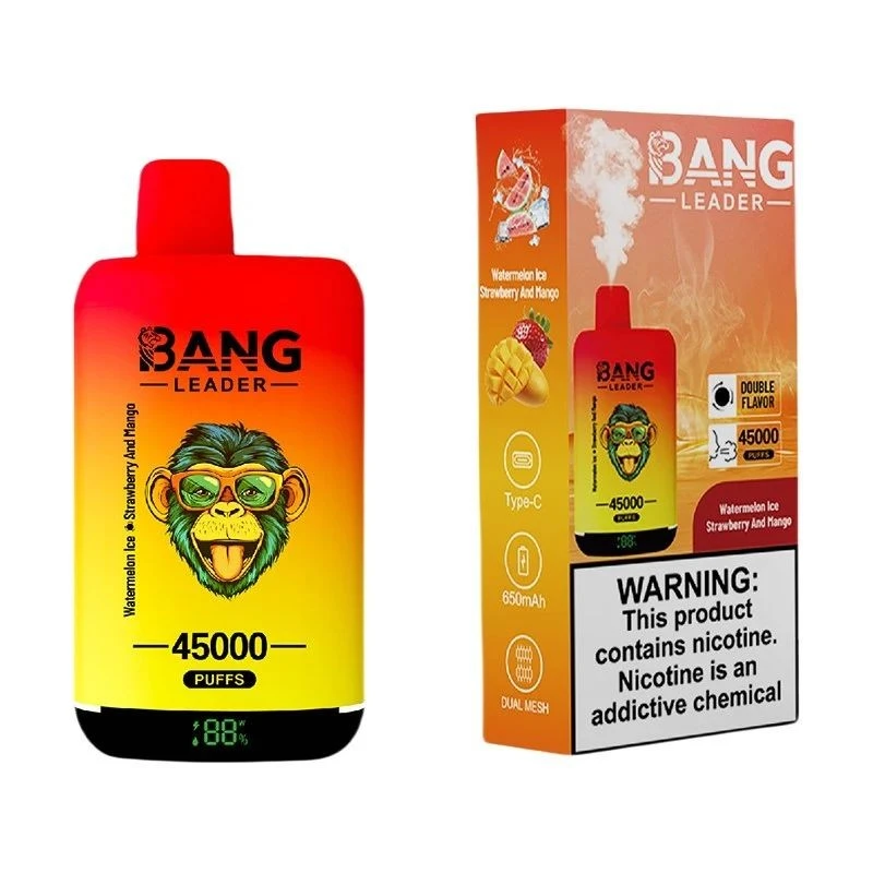 BANG LEADER 45000 Puffs factory