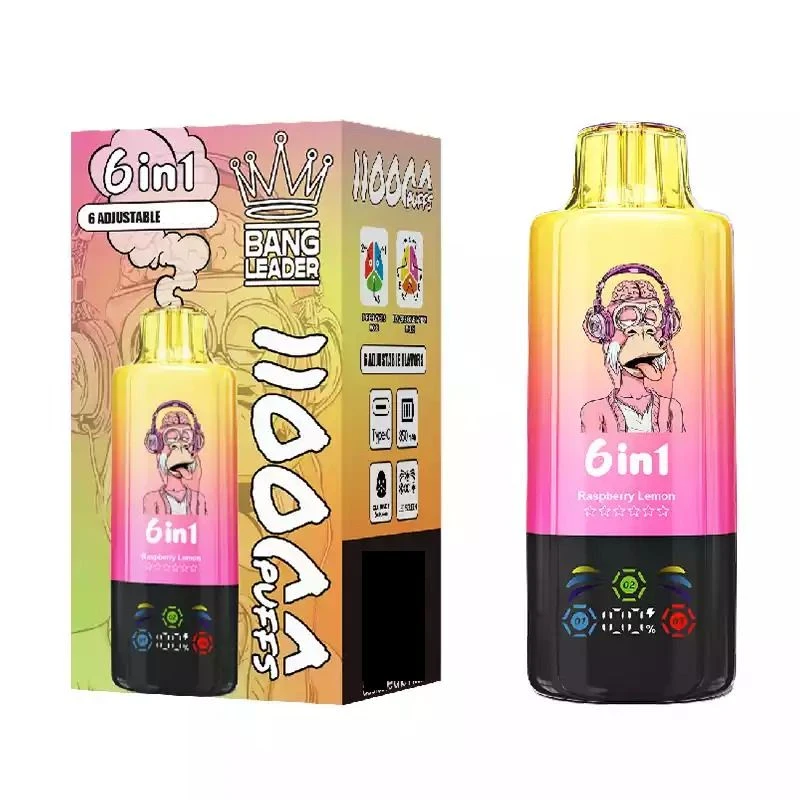 BANG LEADER 6in1 110000 Puffs