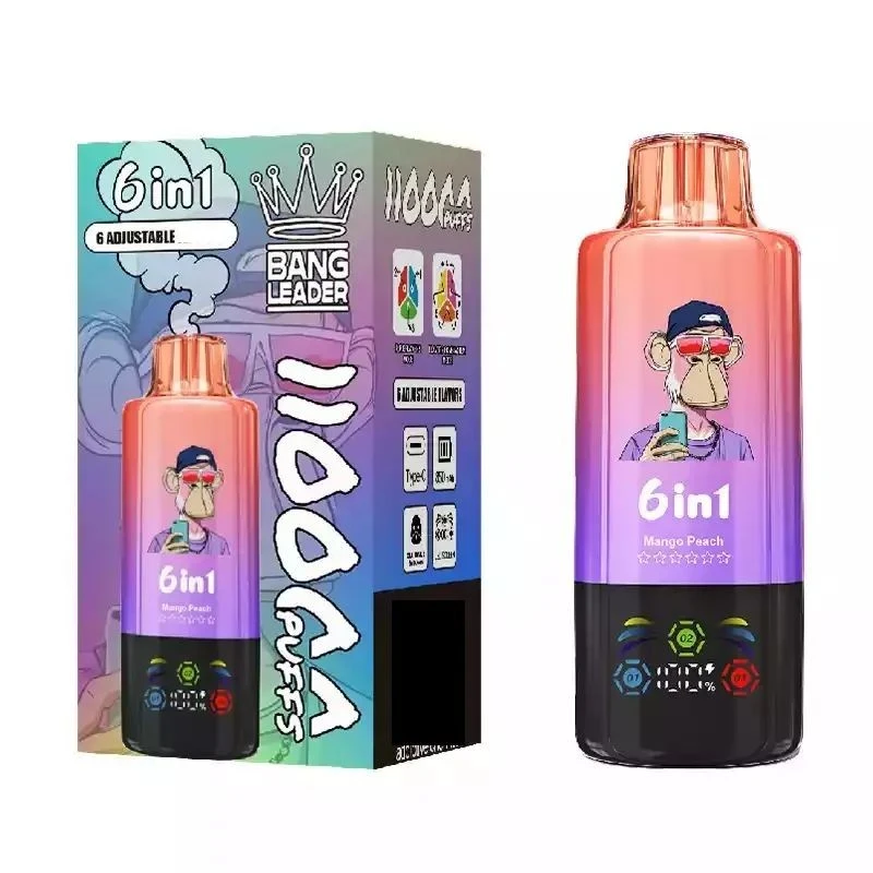BANG LEADER 6in1 110000 Puffs factory