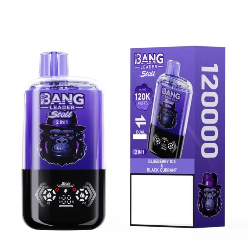 BANG LEADER Stoll 2in1 120000 Puffs