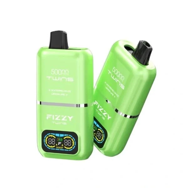 FIZZY TWINS 50000 Puffs factory
