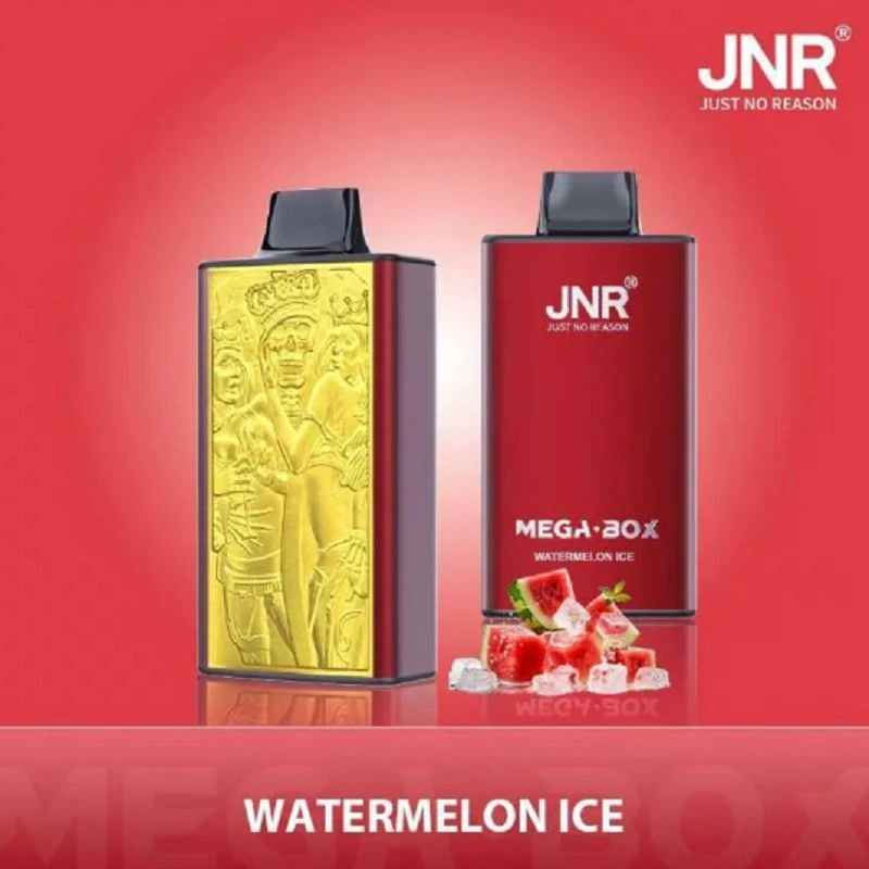 JNR Mega Box 25000 Puffs suppliers