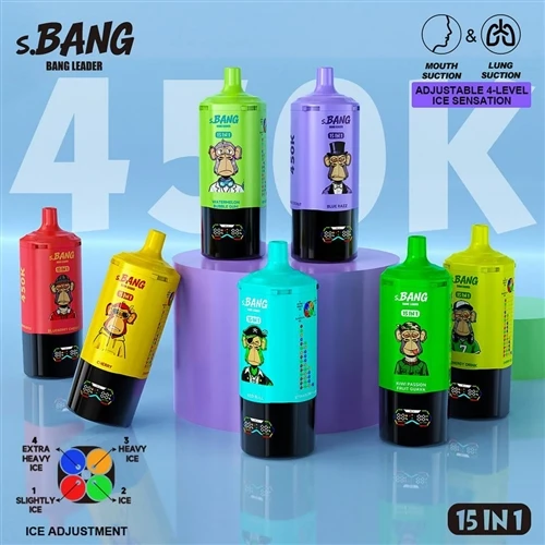 BANG LEADER 15-in-1 450000 Disposable Vape