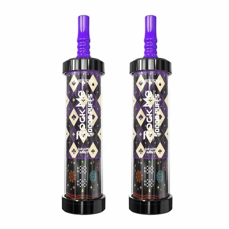 RockMe Sheesha 50000 Puffs best