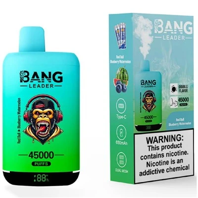 BANG LEADER 45000