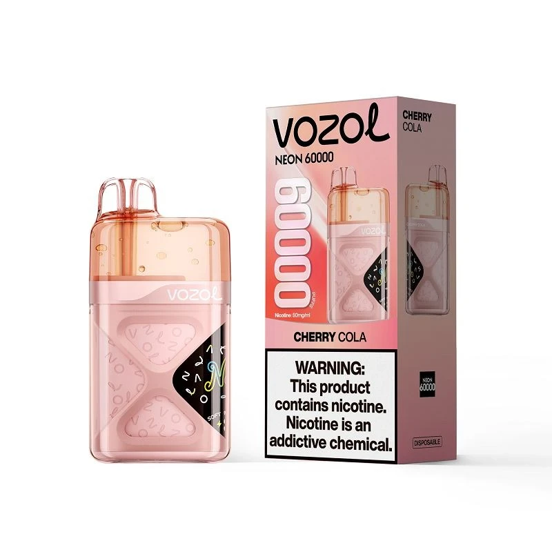 VOZOL NEON 60000 factory