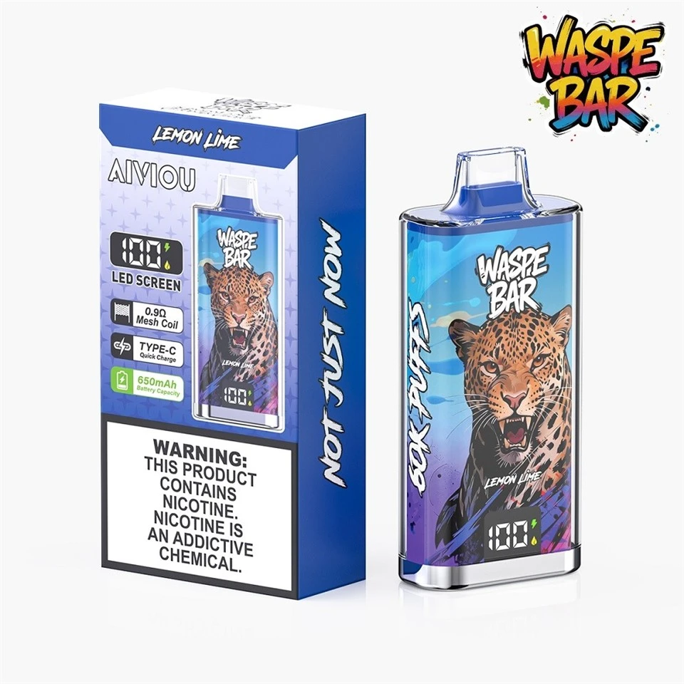 WASPE BAR AIVIOU 60000 Puffs best